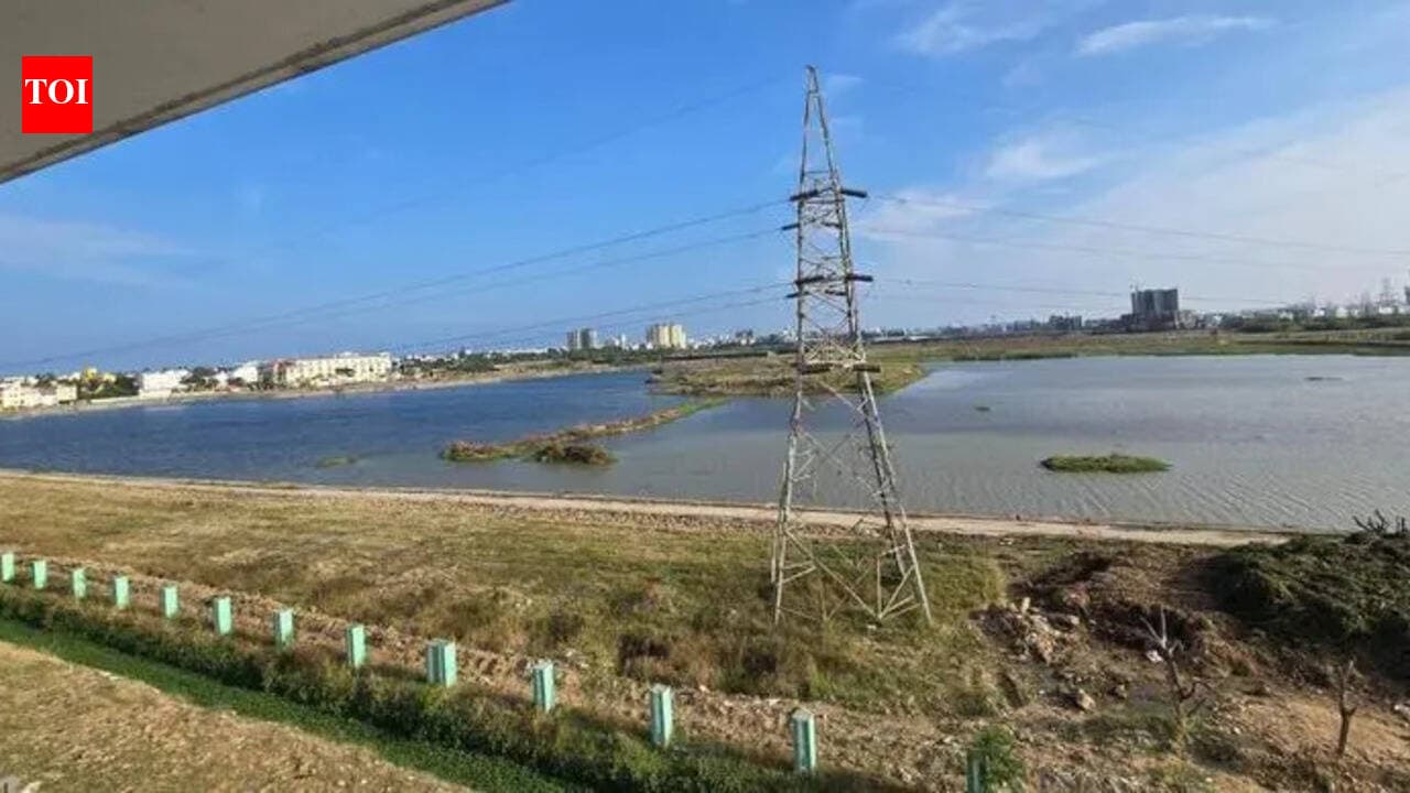 Chennai lake restoration