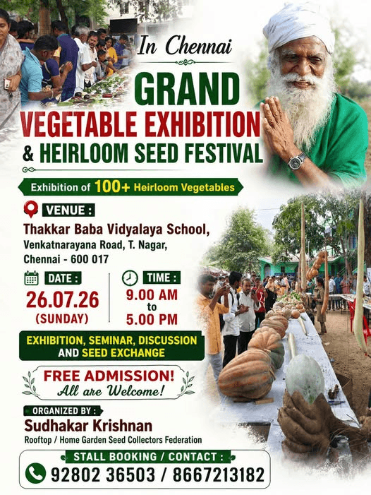 T. Nagar market and food festival